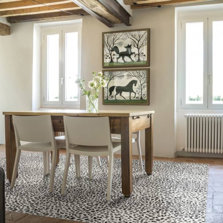 Best Vinyl Floor Rugs A New Vinyl Floor Rug Launch from Tempaper